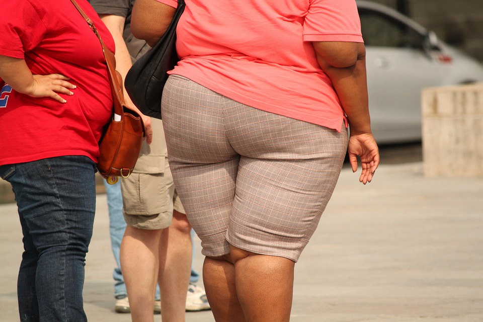 Is Environmental Toxicity causing you to Gain Weight and Can an Infrared Sauna help