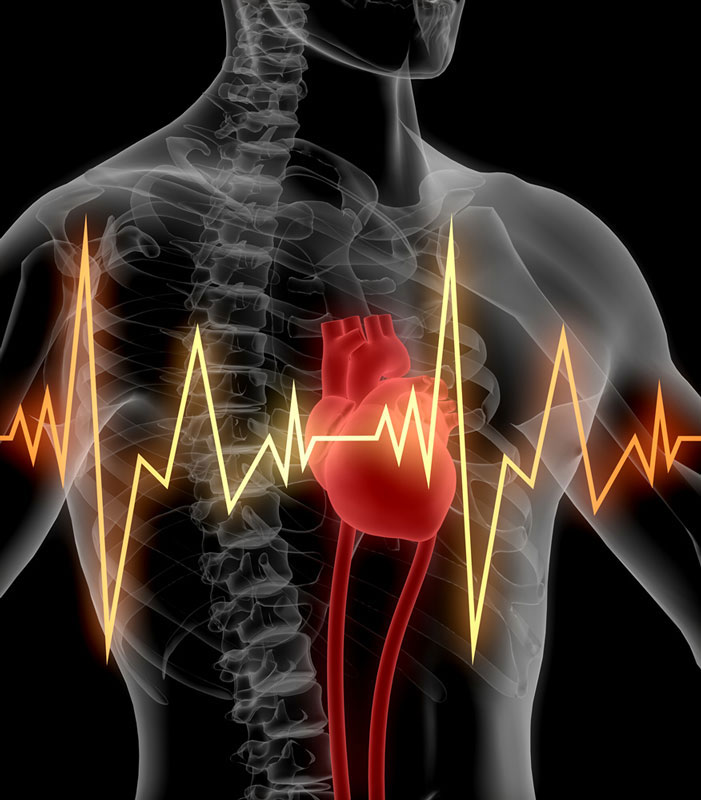 Strengthen your Heart and Combat Cardiovascular Disease with a Sauna