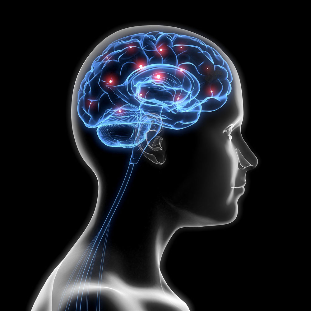 An Infrared Sauna Promotes a Healthier Brain Performance and the Growth of New Brain Cells