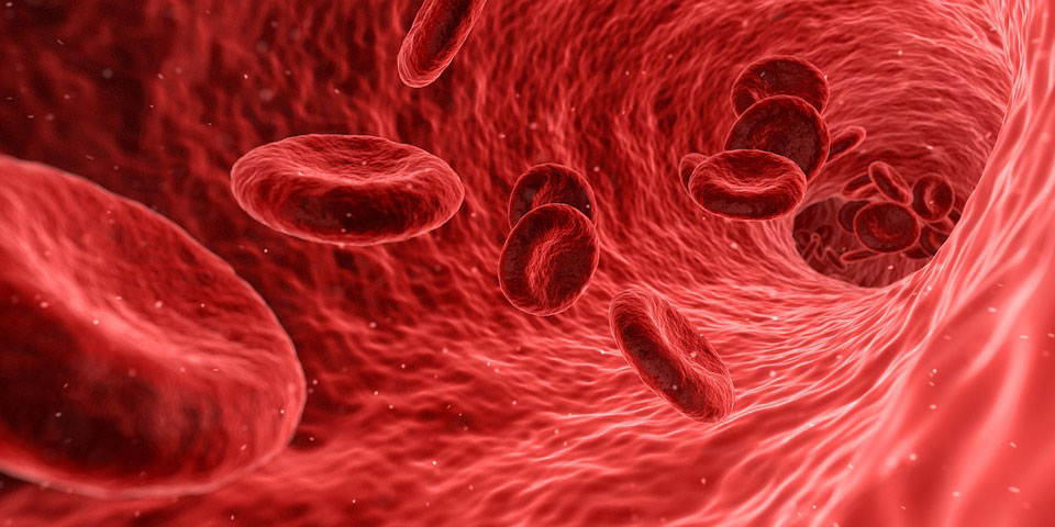 Increase your Red blood cell with Steam baths Steam Rooms Increase Red Blood Cell Count, Increasing Oxygen Delivery in the Body