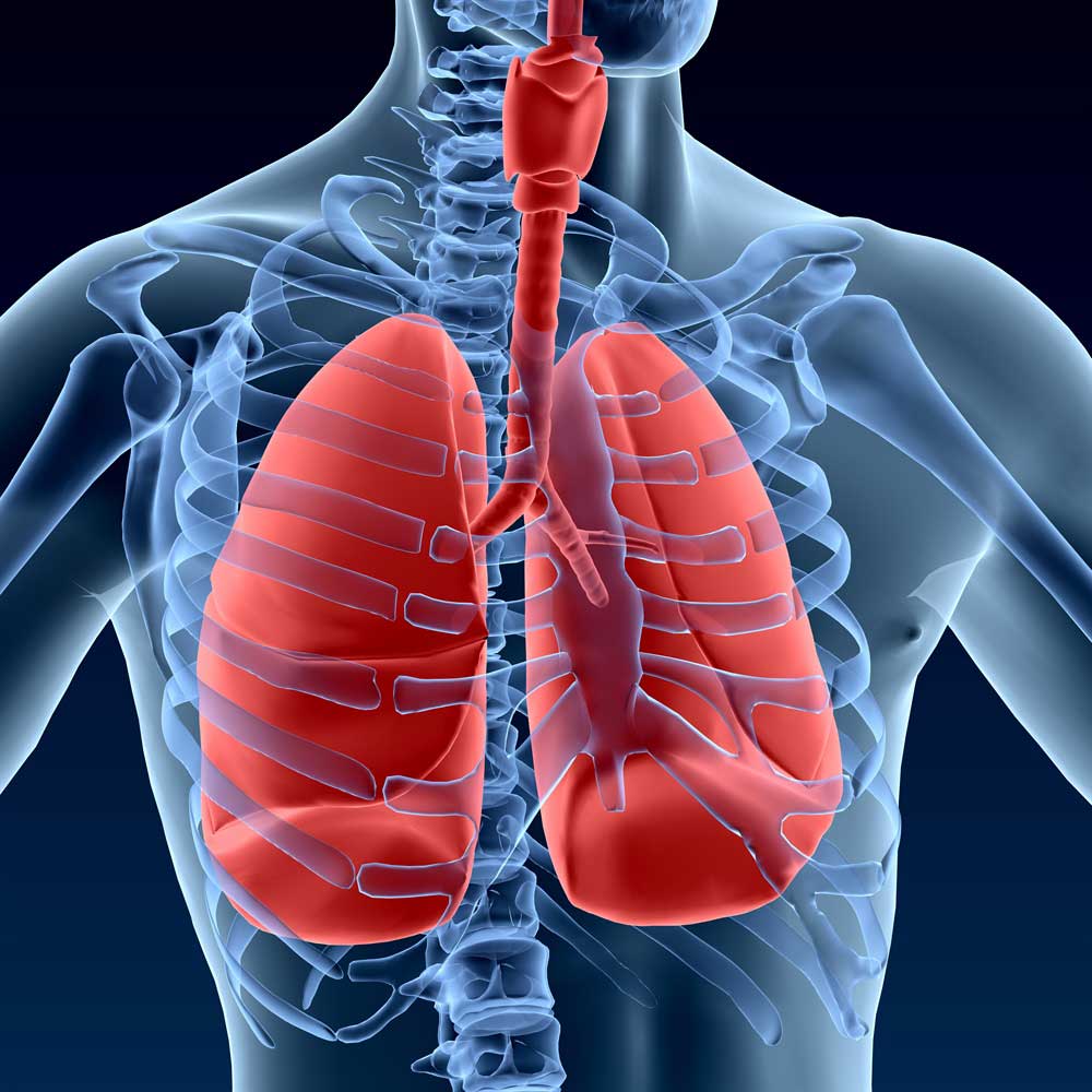 Improve lung function with steam room Improve Lung Function and Risk of Respiratory Disease through a Steam Room