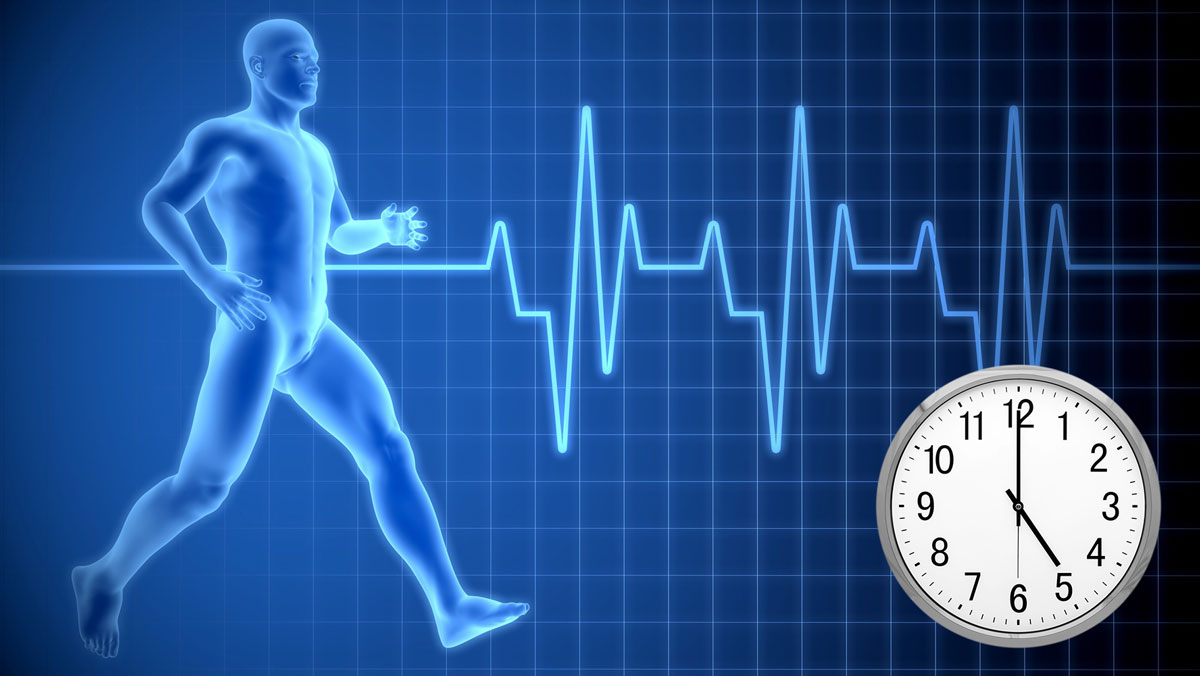 When is the Best Time to Rest, Sleep, Meditate, and Sauna For Your Body – From the Experts When is the Best Time to Rest, Sleep, Meditate, and Sauna For Your Body – From the Experts
