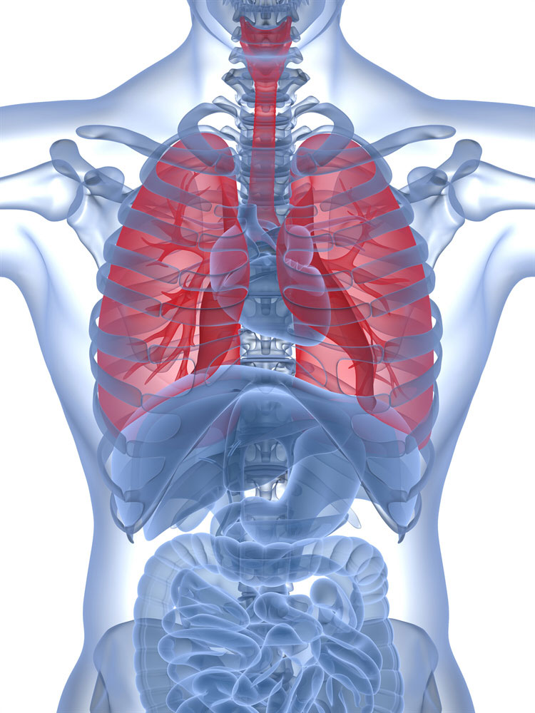 Are Saunas Bad For Your Lungs and Respiratory System – See the Evidence!